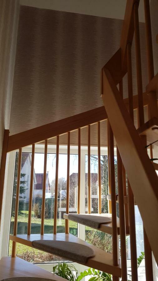 Ferienhaus Bogsi Müllrose المظهر الخارجي الصورة
