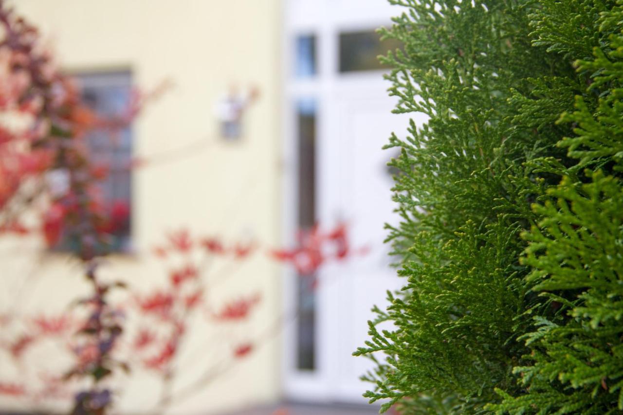Ferienhaus Bogsi Müllrose المظهر الخارجي الصورة